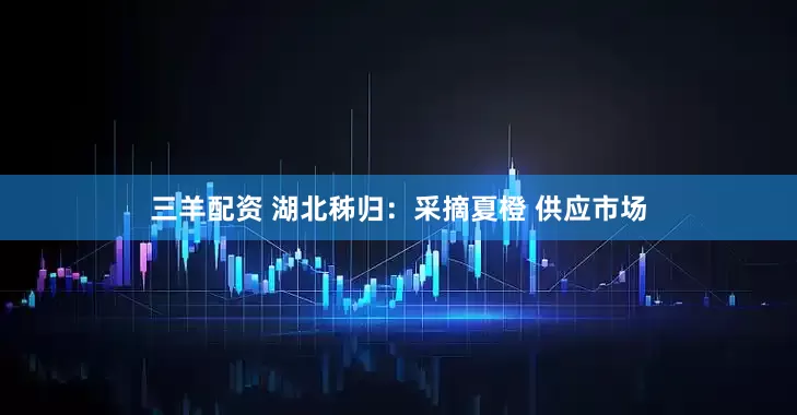 三羊配资 湖北秭归：采摘夏橙 供应市场
