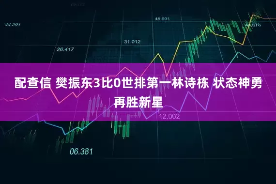 配查信 樊振东3比0世排第一林诗栋 状态神勇再胜新星
