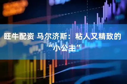 旺牛配资 马尔济斯：粘人又精致的 “小公主”