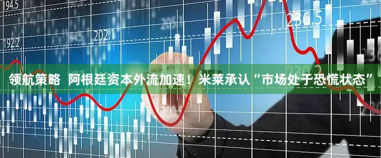 领航策略  阿根廷资本外流加速！米莱承认“市场处于恐慌状态”